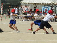 IMG_1871
