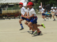 IMG_1924
