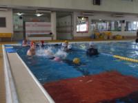 P5260252