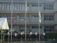 image1 (2)