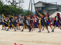 DSC04904