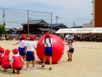 DSC06994