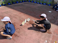 IMG_1709 (1)