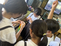image2 (4)